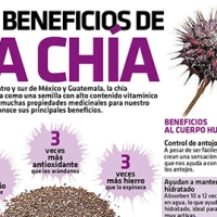 #Infografia Los beneficios de la Chía