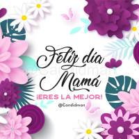 #DiaDeLasMadres Feliz día Mamá ¡Eres la mejor! - @Candidman